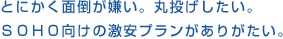 とにかく面倒が嫌い。丸投げしたい。SOHO向けの激安プランがありがたい。