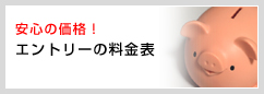 安心の価格！エントリーの料金表