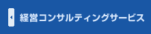 経営コンサルティングサービス